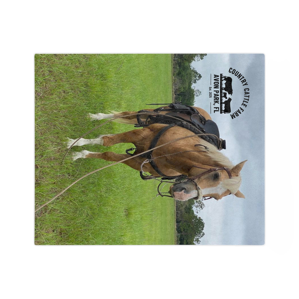 Country Cattle Farm Palomino Horse Velveteen Microfiber Blanket — Avon Park, FL Ranch Throw