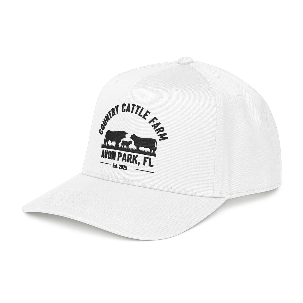 Mid Profile Baseball Cap