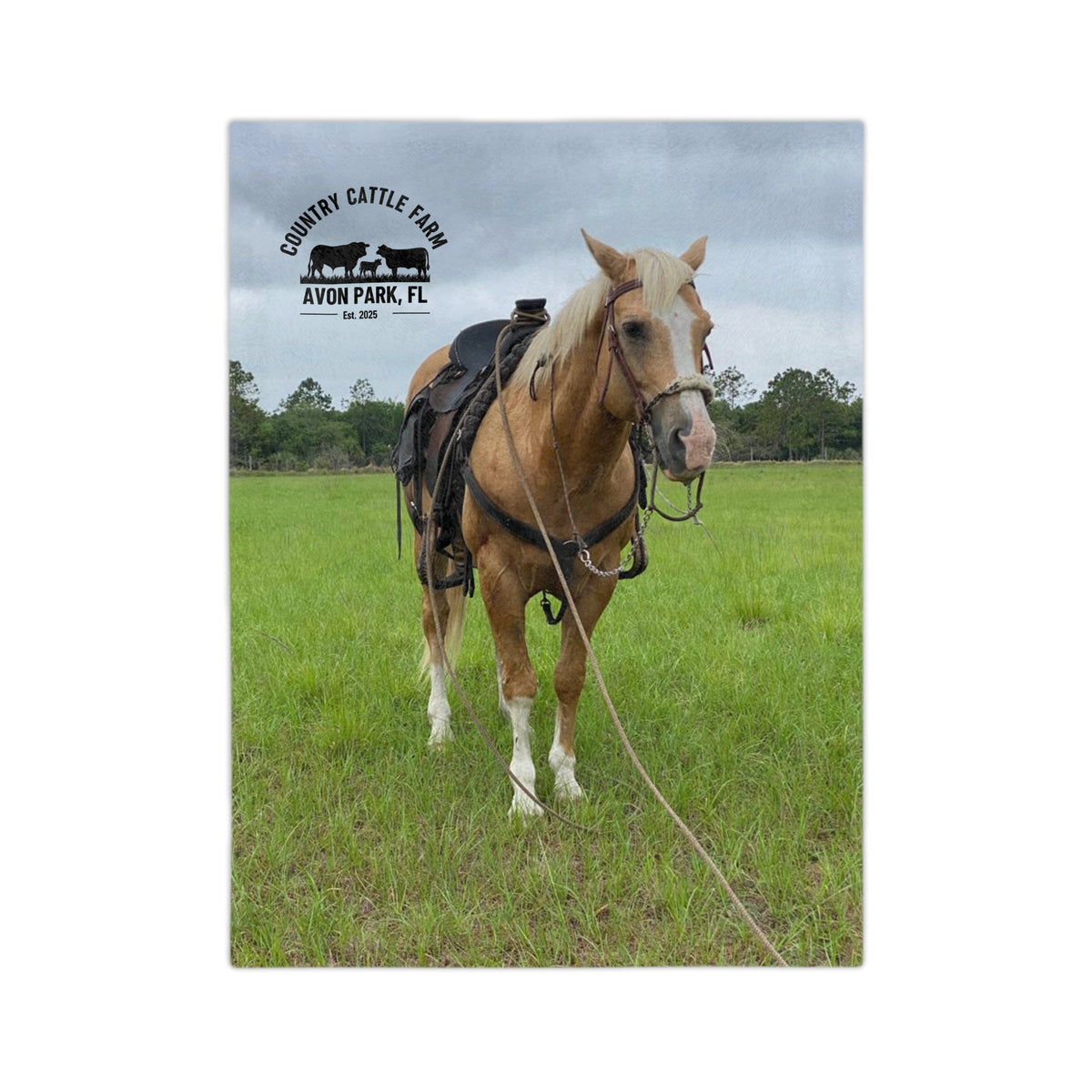 Country Cattle Farm Palomino Horse Velveteen Microfiber Blanket — Avon Park, FL Ranch Throw