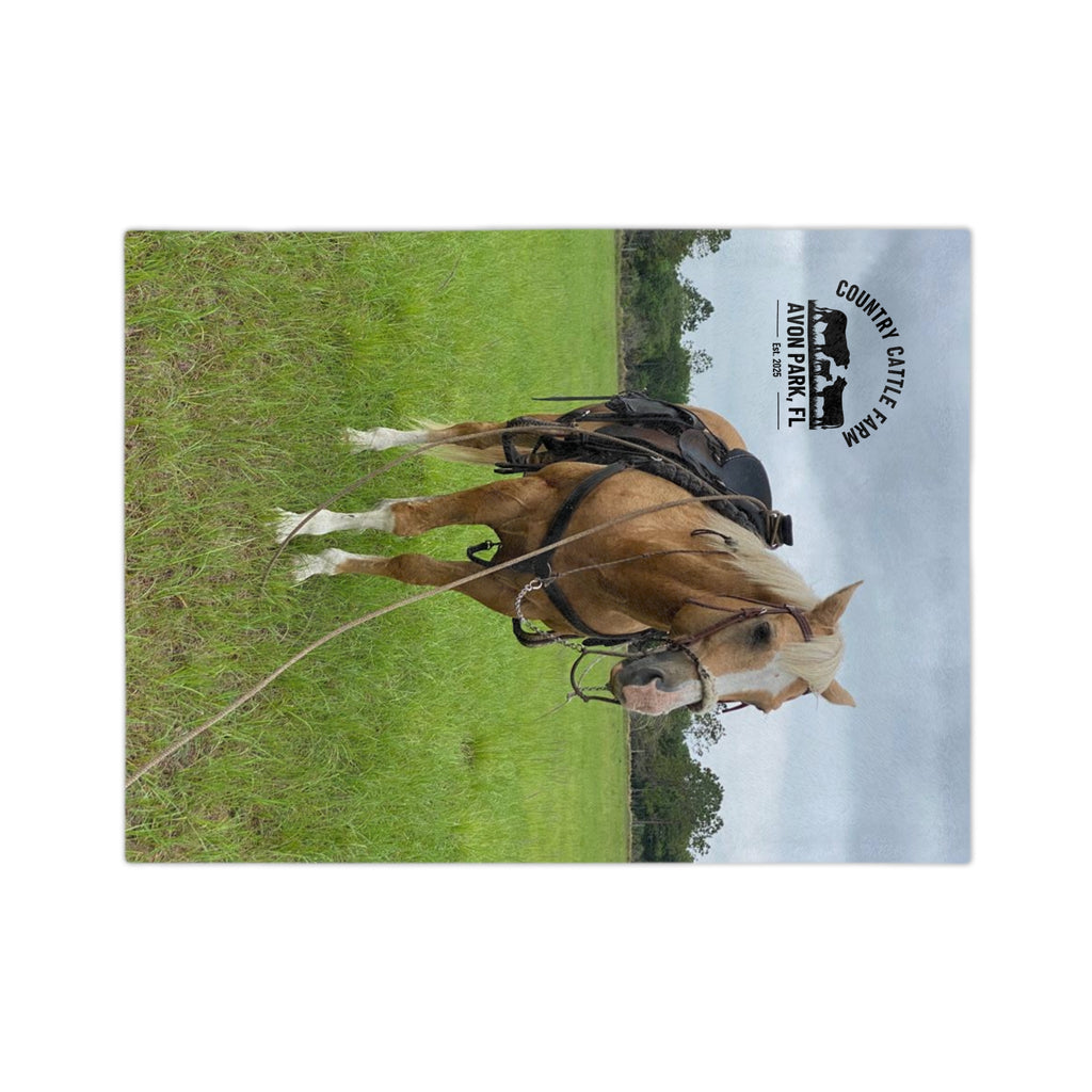 Country Cattle Farm Palomino Horse Velveteen Microfiber Blanket — Avon Park, FL Ranch Throw