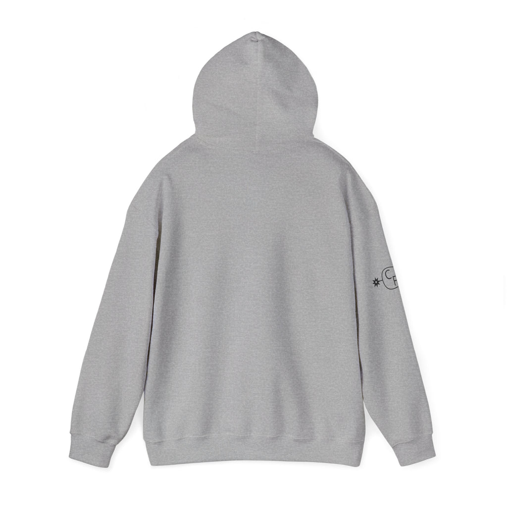 Country Willie Farm Hoodie — Avon Park, FL Vintage Farm Logo Hooded Sweatshirt