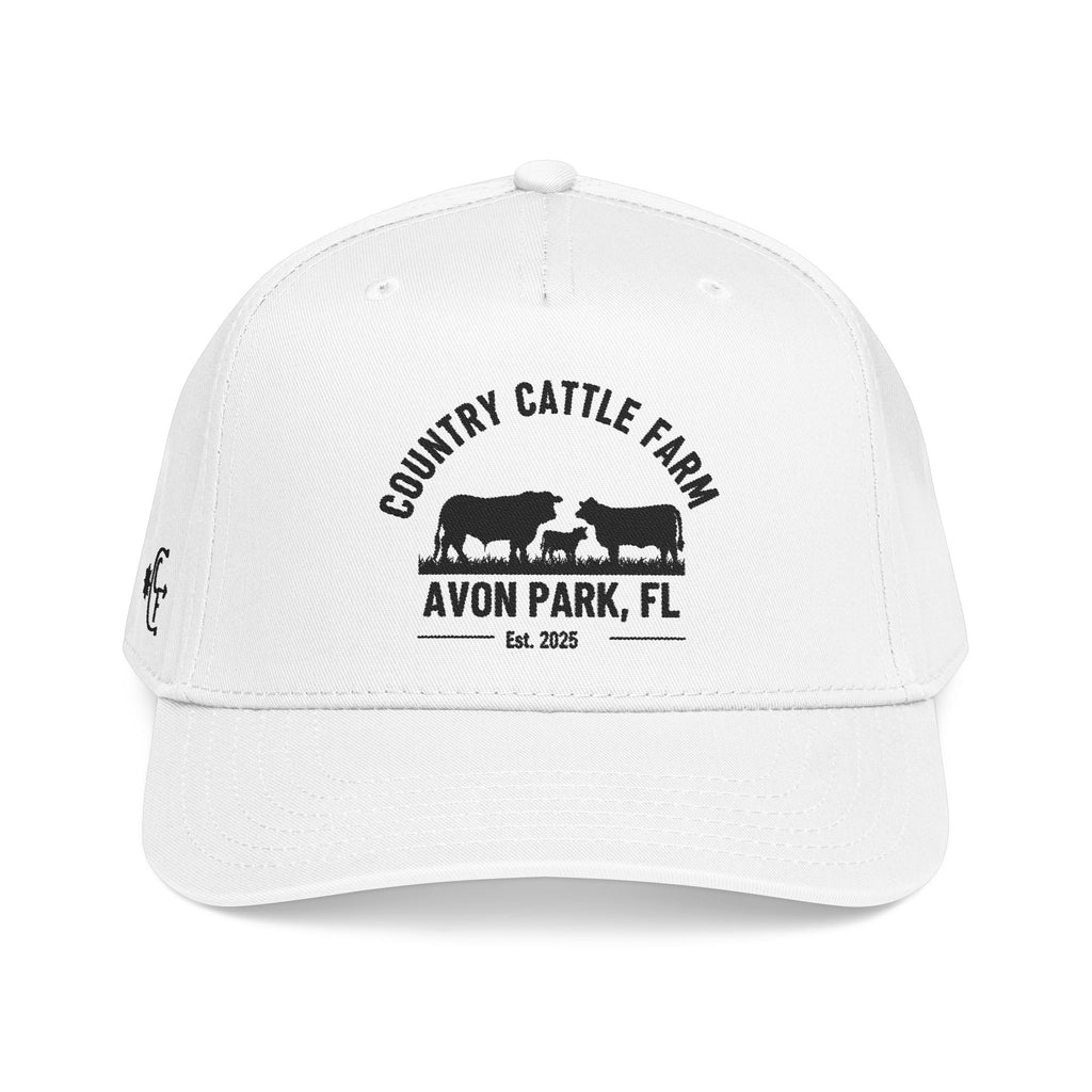 Mid Profile Baseball Cap