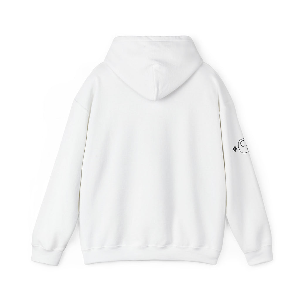 Country Willie Farm Hoodie — Avon Park, FL Vintage Farm Logo Hooded Sweatshirt
