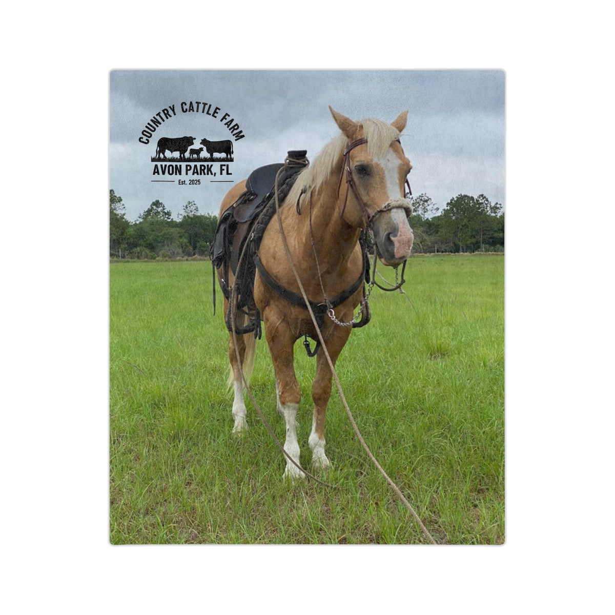 Country Cattle Farm Palomino Horse Velveteen Microfiber Blanket — Avon Park, FL Ranch Throw