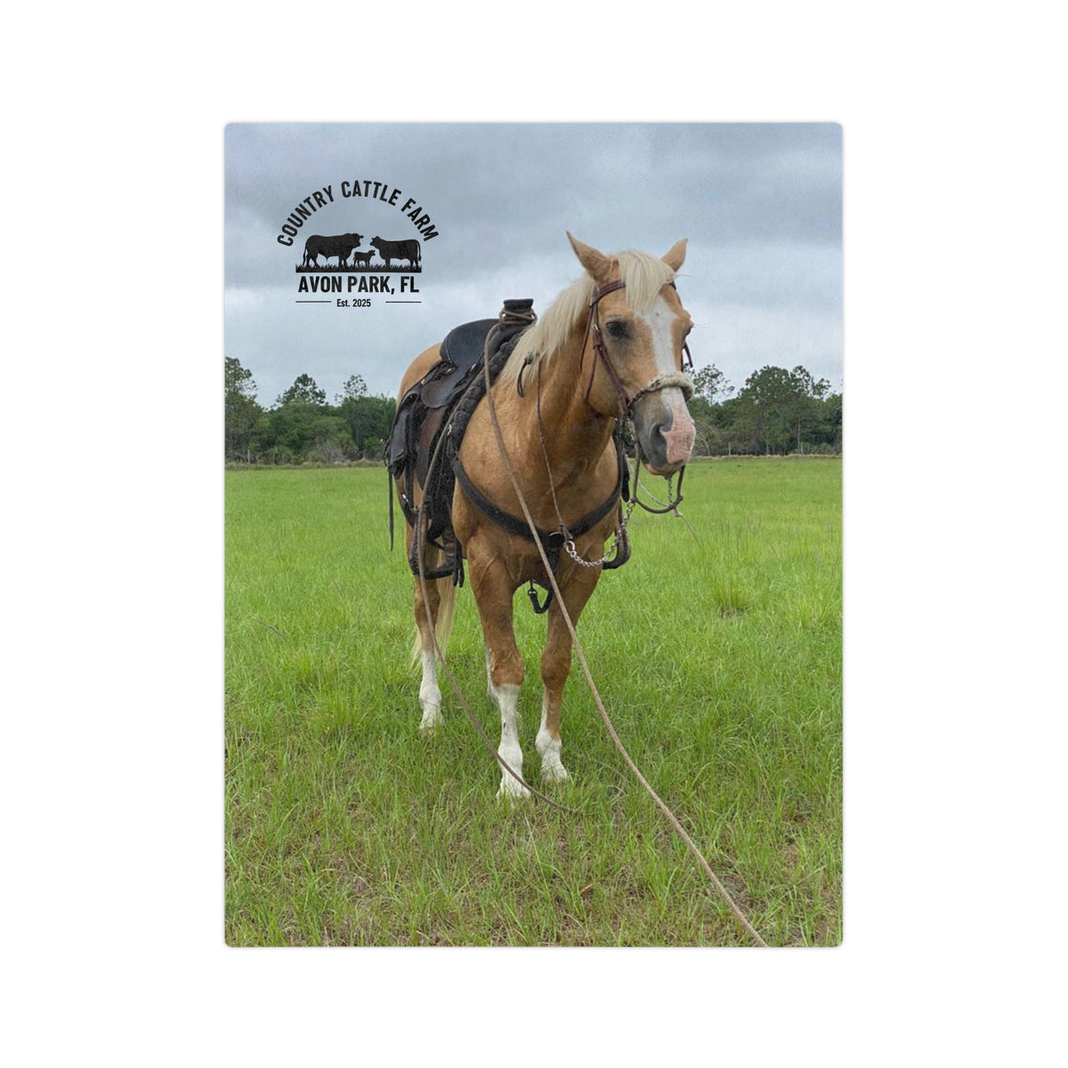 Country Cattle Farm Palomino Horse Velveteen Microfiber Blanket — Avon Park, FL Ranch Throw