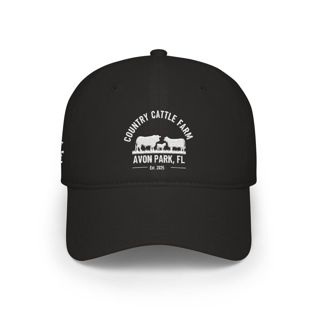 Low Profile Baseball Cap