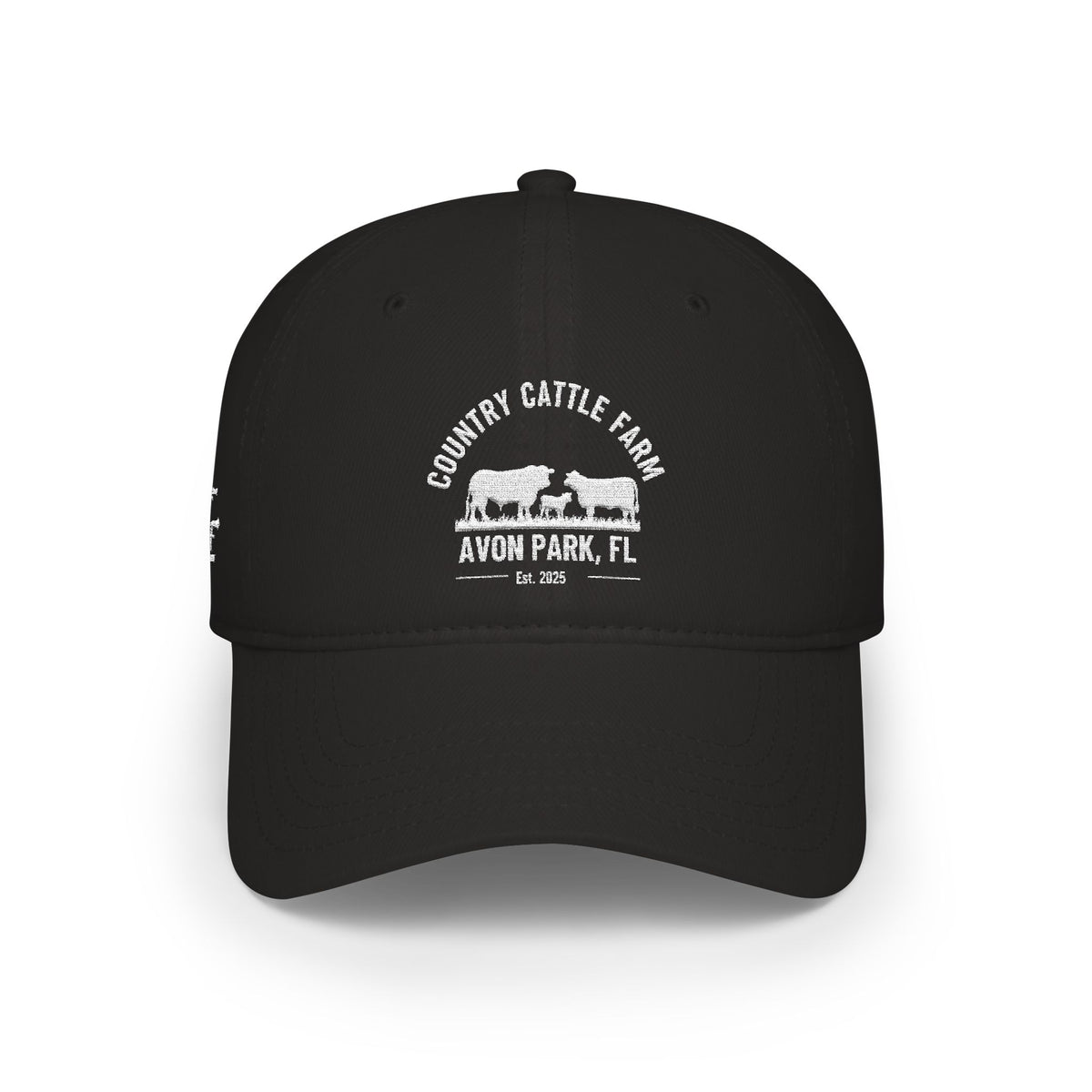 Low Profile Baseball Cap