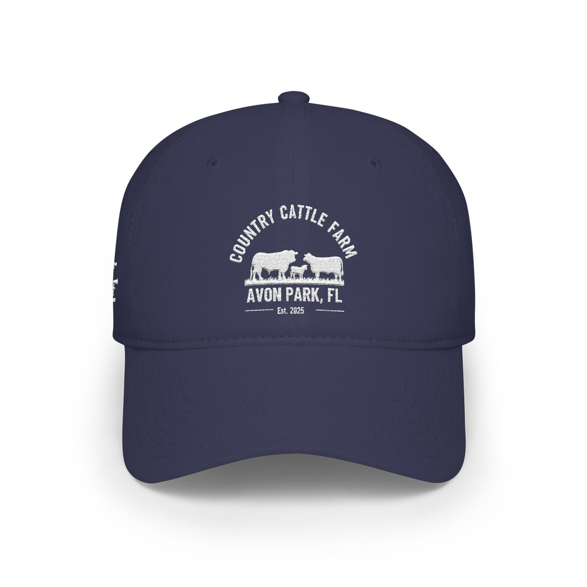 Low Profile Baseball Cap