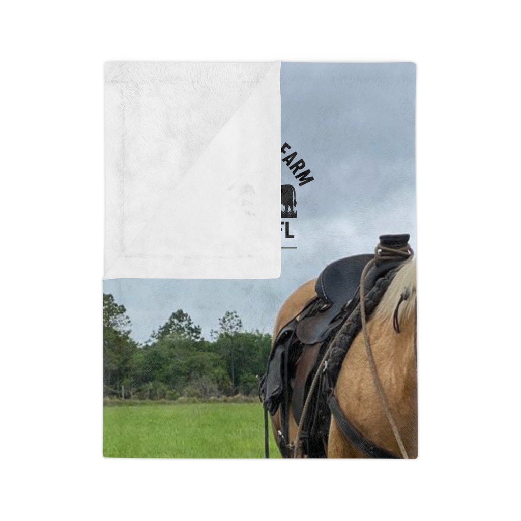 Country Cattle Farm Palomino Horse Velveteen Microfiber Blanket — Avon Park, FL Ranch Throw