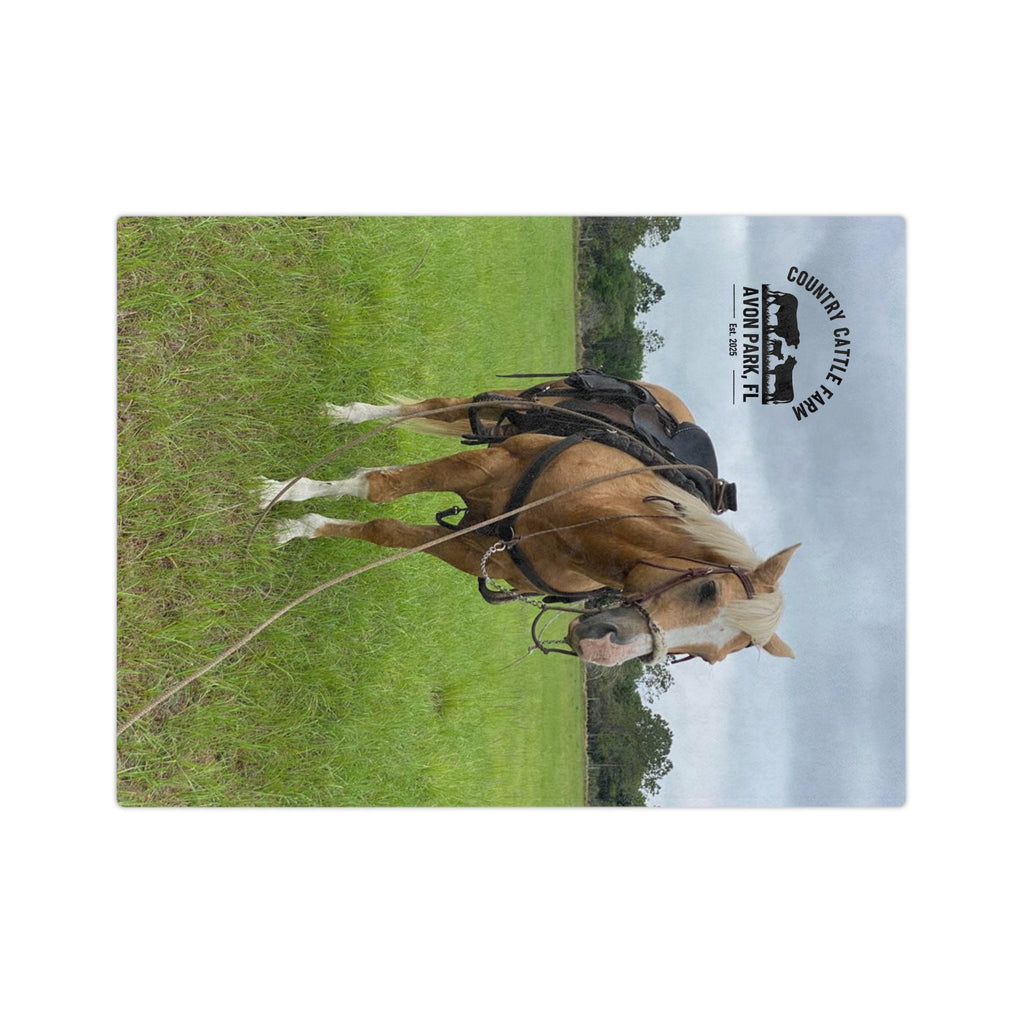 Country Cattle Farm Palomino Horse Velveteen Microfiber Blanket — Avon Park, FL Ranch Throw