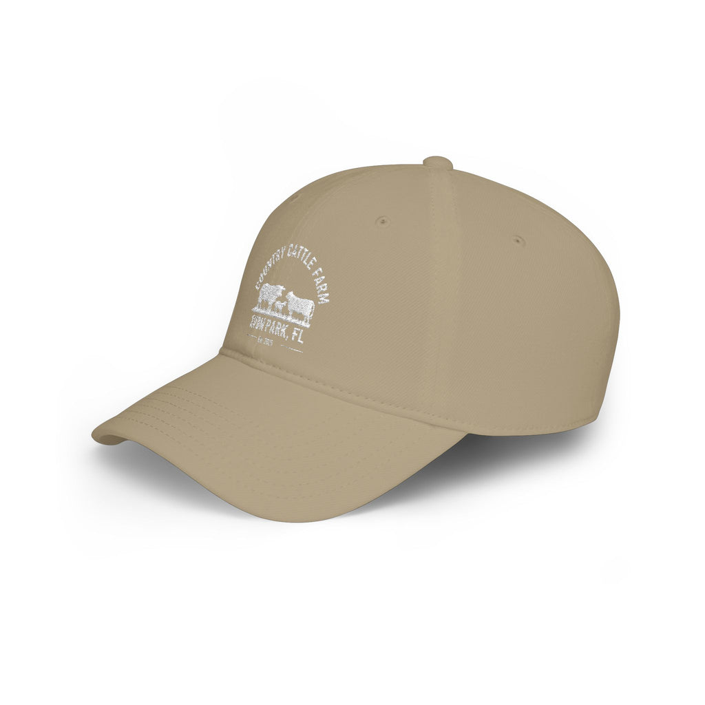 Low Profile Baseball Cap